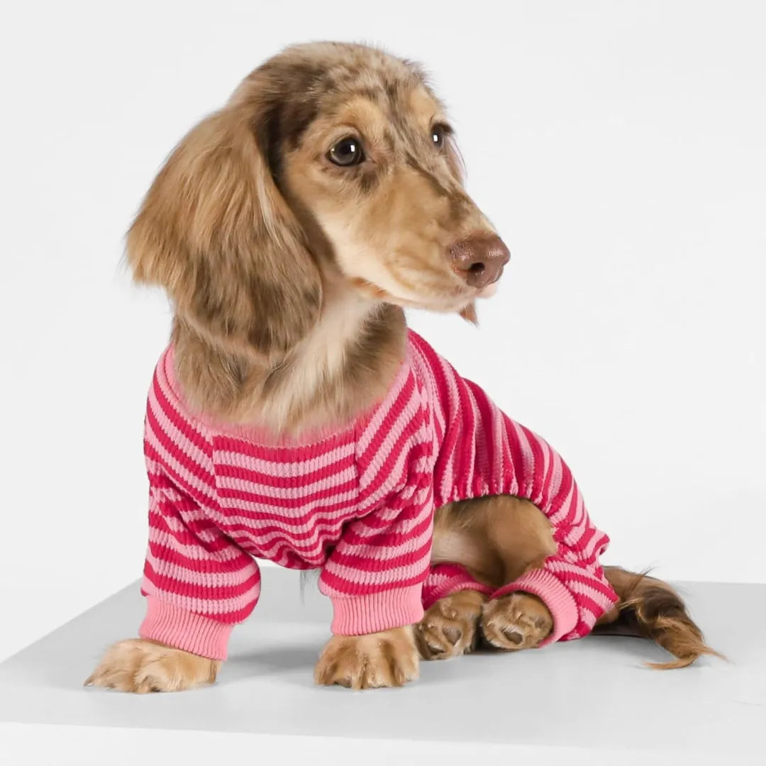 Cute Striped Dachshund Pajamas - Soft & Funny Dog Print Sleepwear Gift | ArtisanUni