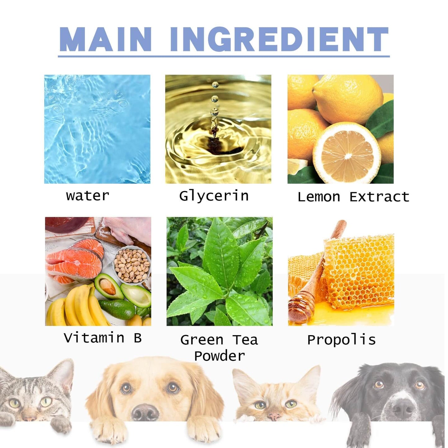 Dog Dental Care Fresh Breath