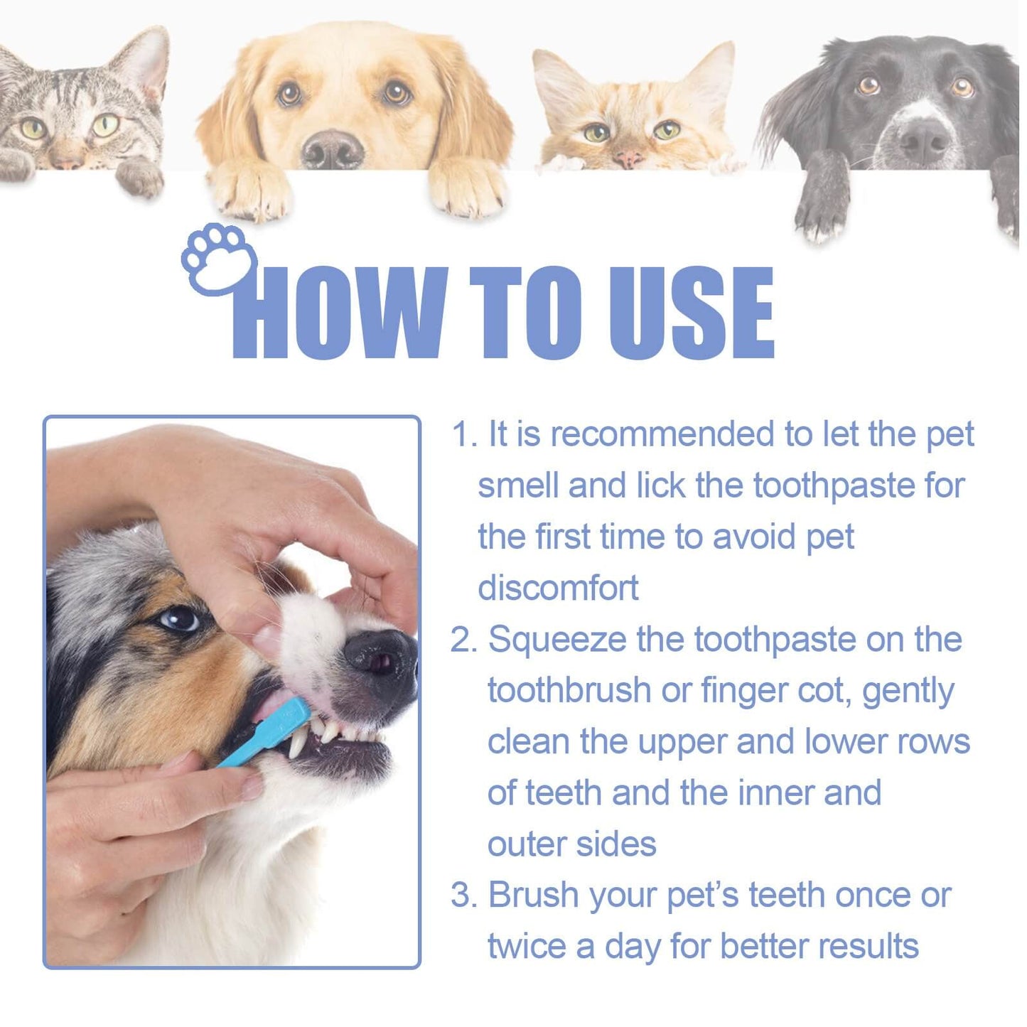Dog Dental Care Fresh Breath