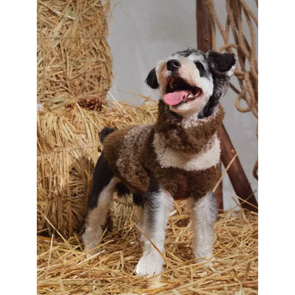 Warm Sweaters for Dachshunds – Cozy  Winter Sweaters for Long Body Dogs | ArtisanUni