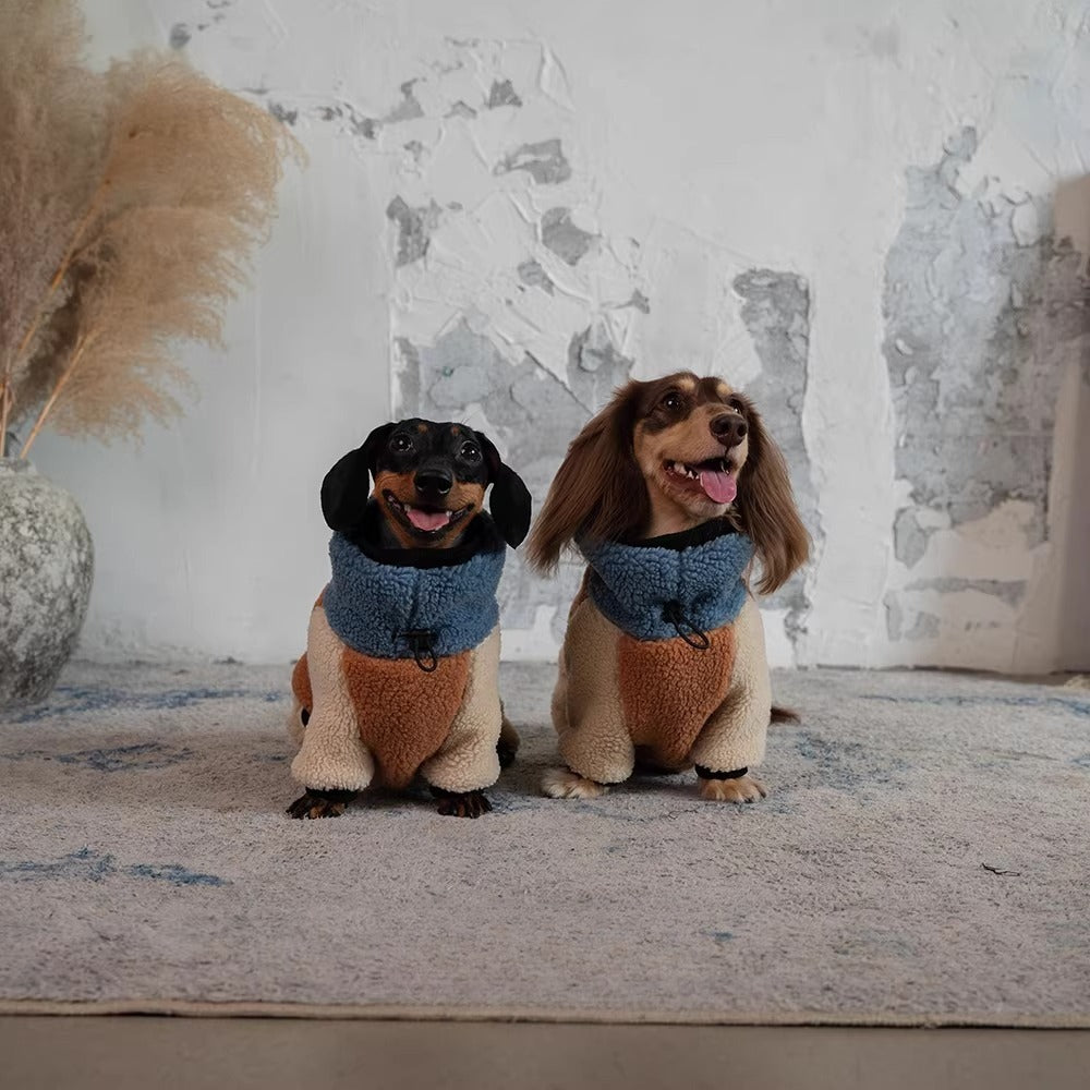 Lambswool Dachshund Autumn and Winter Warm Four-Legged Sweater | ArtisanUni