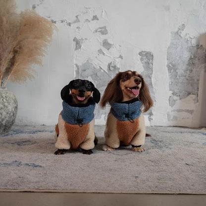 Lambswool Dachshund Autumn and Winter Warm Four-Legged Sweater | ArtisanUni