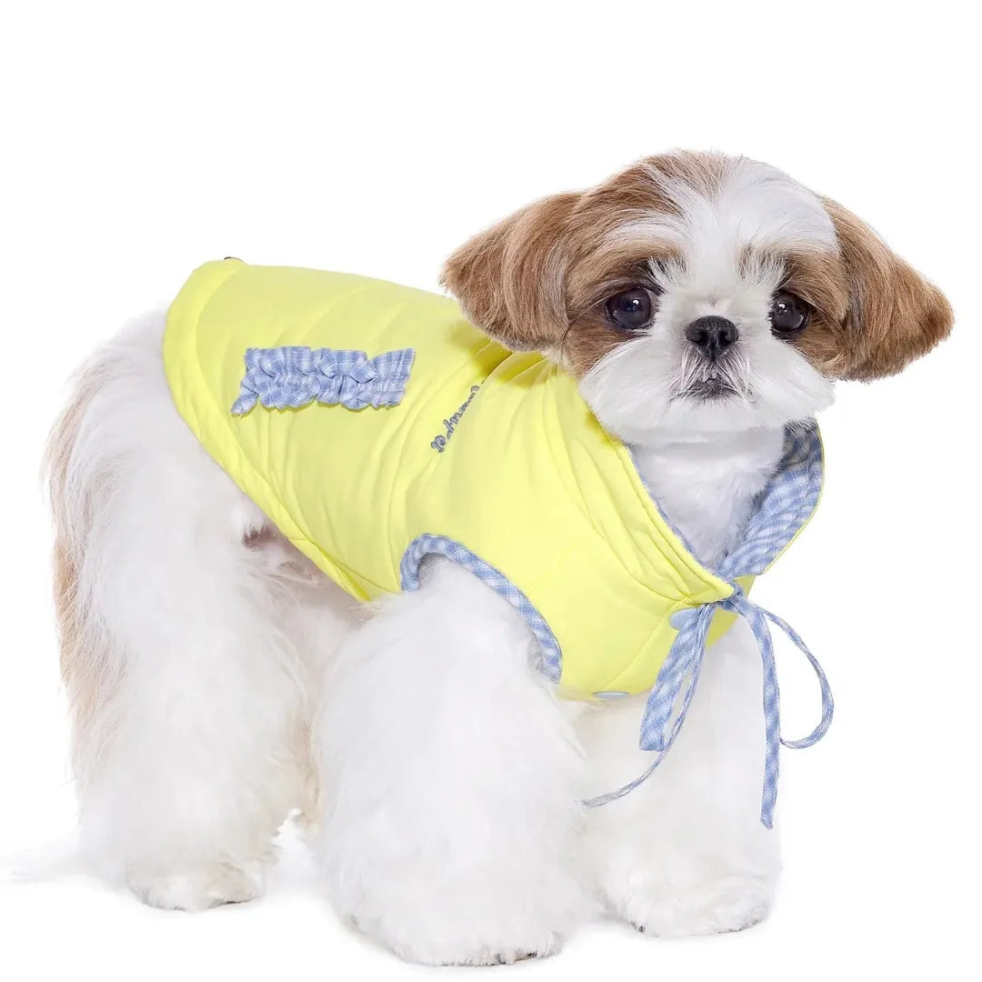 ArtisanUni Winter reversible traction vest