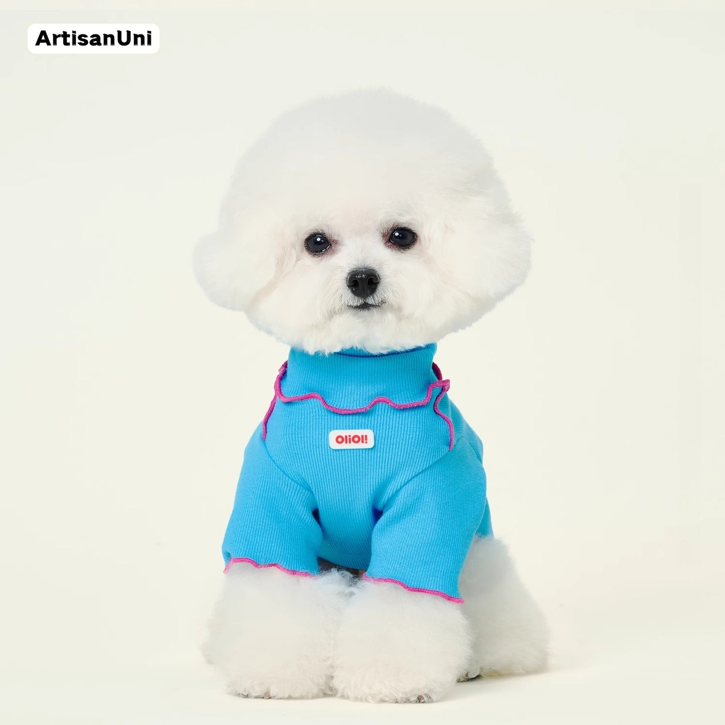 ArtisanUni Turtleneck T-shirt