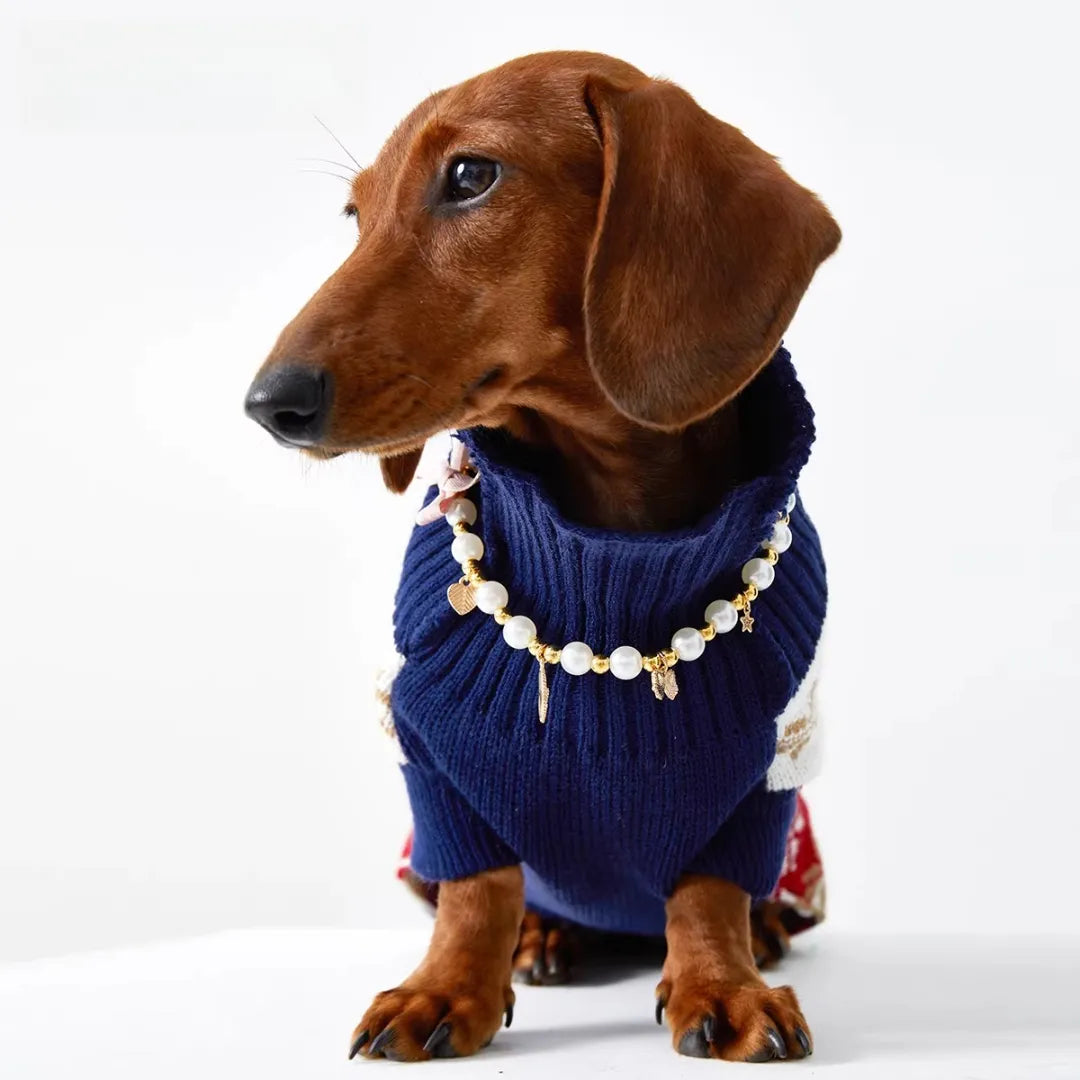 Sweaters for Dachshunds – Christmas & Winter Sweaters for Long Body Dogs ｜ArtisanUni