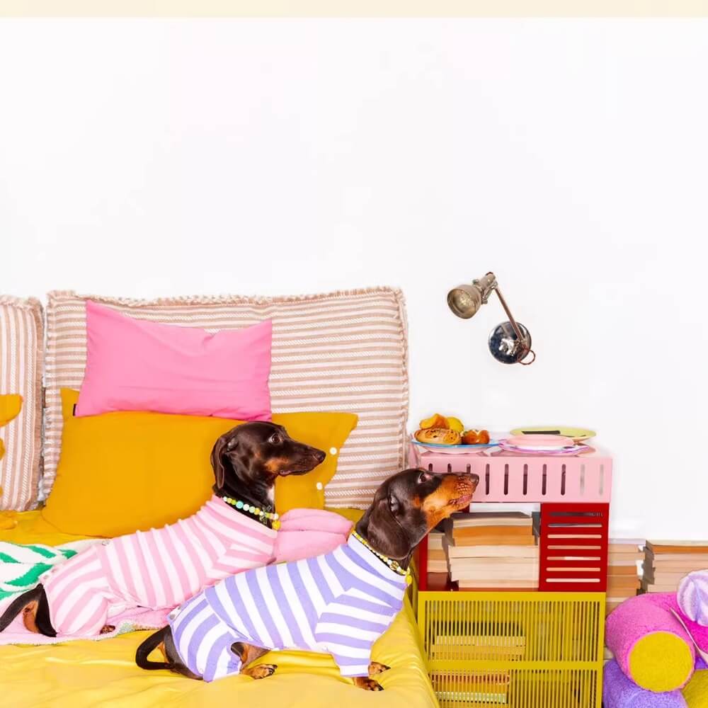dachshund in pajamas sitting on a colorful bed with a small table and lamp in the background.