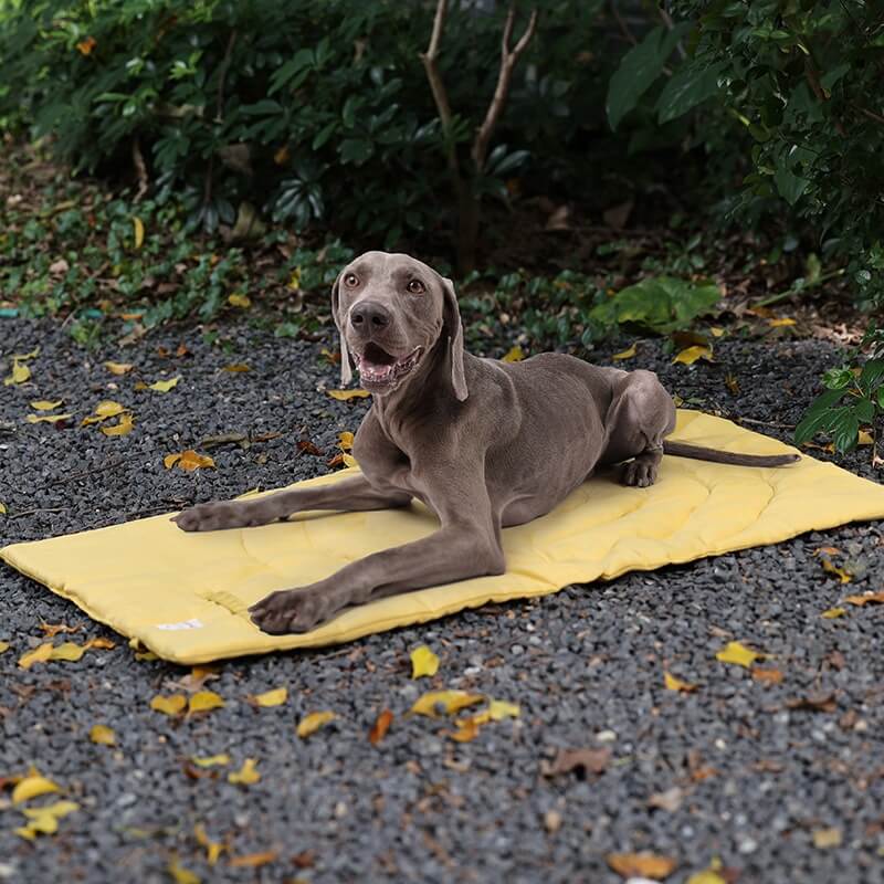 ArtisanUni Waterproof Outdoor Dog Bed Pad