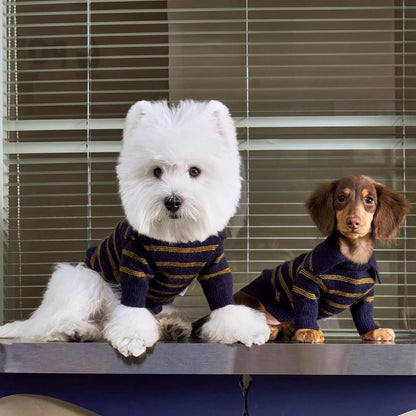 Sweater Dachshund Long Body  |  Blue & Yellow Striped  Polo Knit | Dachshund Clothing | ArtisanUni