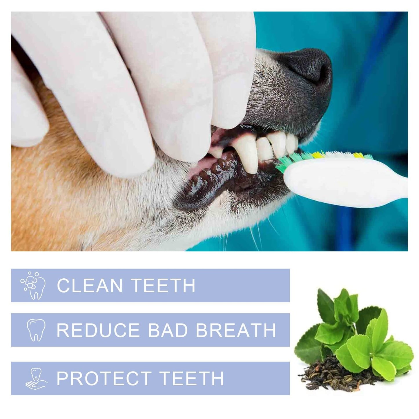 Dog Dental Care Fresh Breath