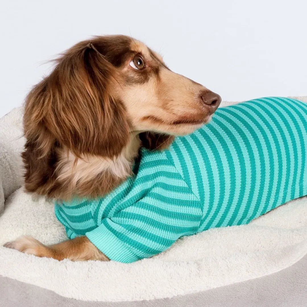 Cute Striped Dachshund Pajamas - Soft & Funny Dog Print Sleepwear Gift | ArtisanUni