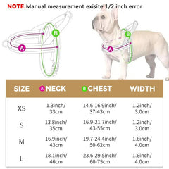 ArtisanUni Saddle Dog Leash
