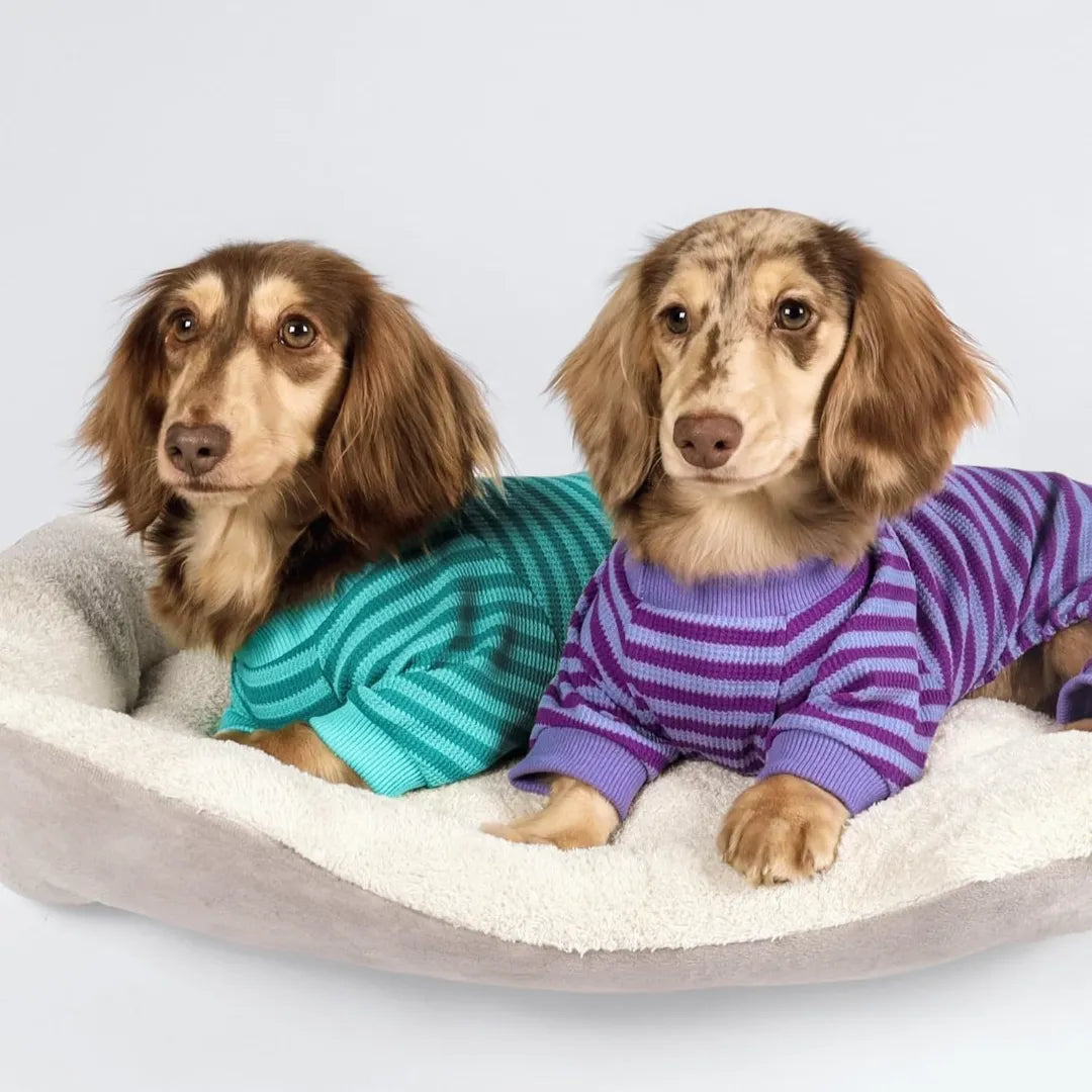 Cute Striped Dachshund Pajamas - Soft & Funny Dog Print Sleepwear Gift | ArtisanUni