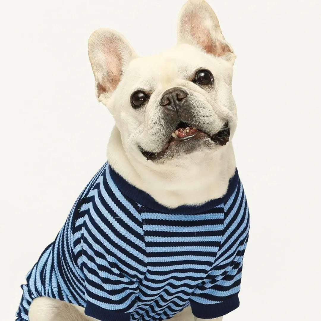 Cute Striped Dachshund Pajamas - Soft & Funny Dog Print Sleepwear Gift | ArtisanUni