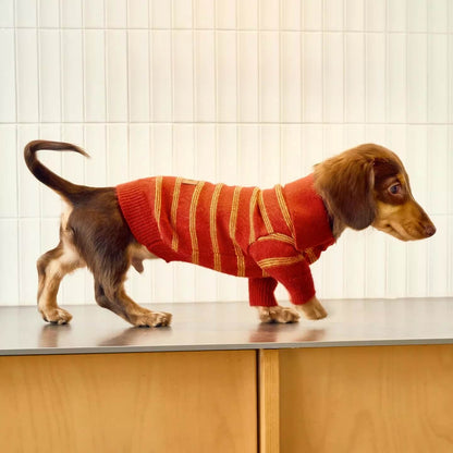 Sweater Dachshund Long Body  |  red & Yellow Striped  Polo Knit | Dachshund Clothing | ArtisanUni