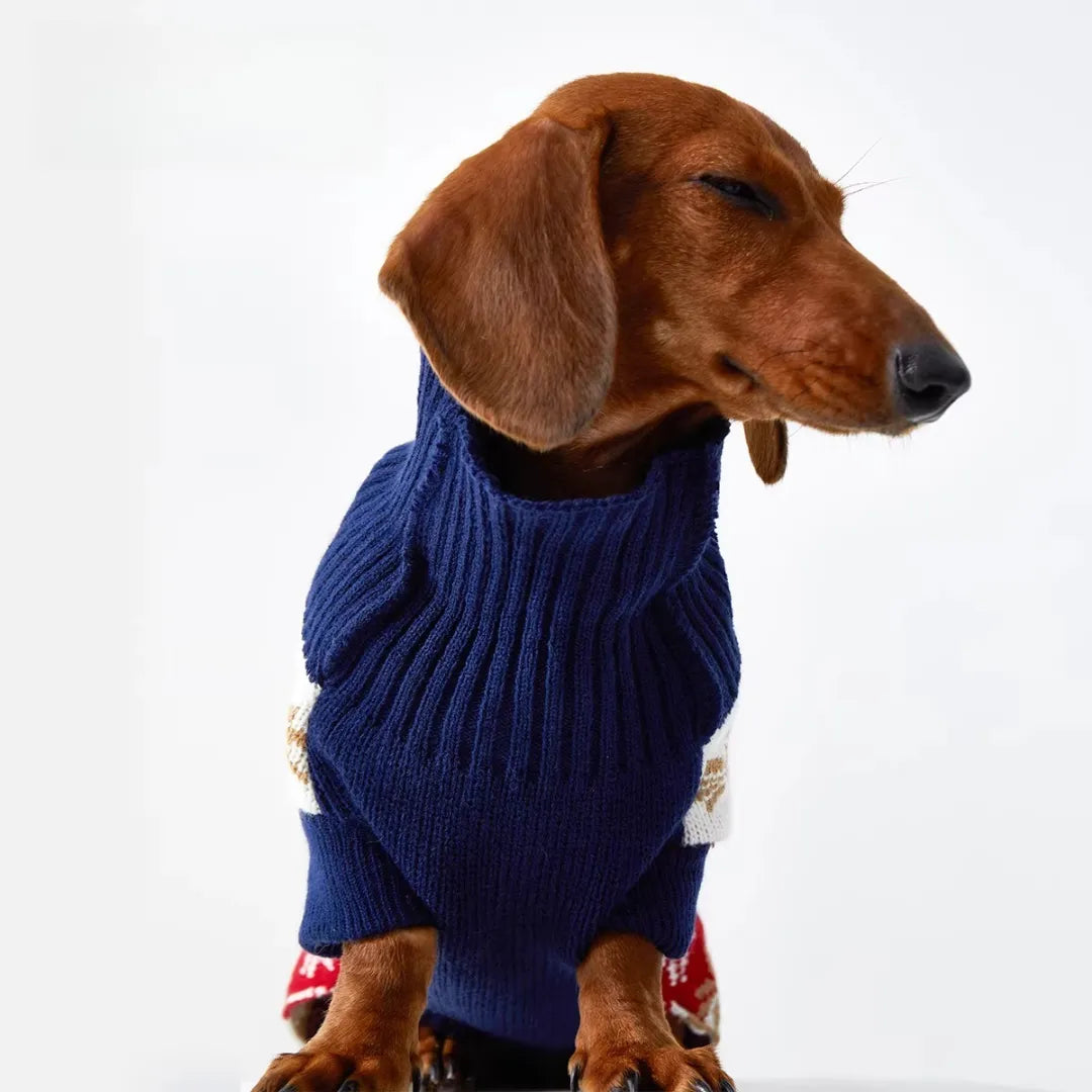 Sweaters for Dachshunds – Christmas & Winter Sweaters for Long Body Dogs ｜ArtisanUni