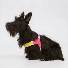 ArtisanUni Classic small dog harness