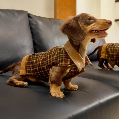 Dachshund Coats | Luxury Reversible Suede Vest | ArtisanUni