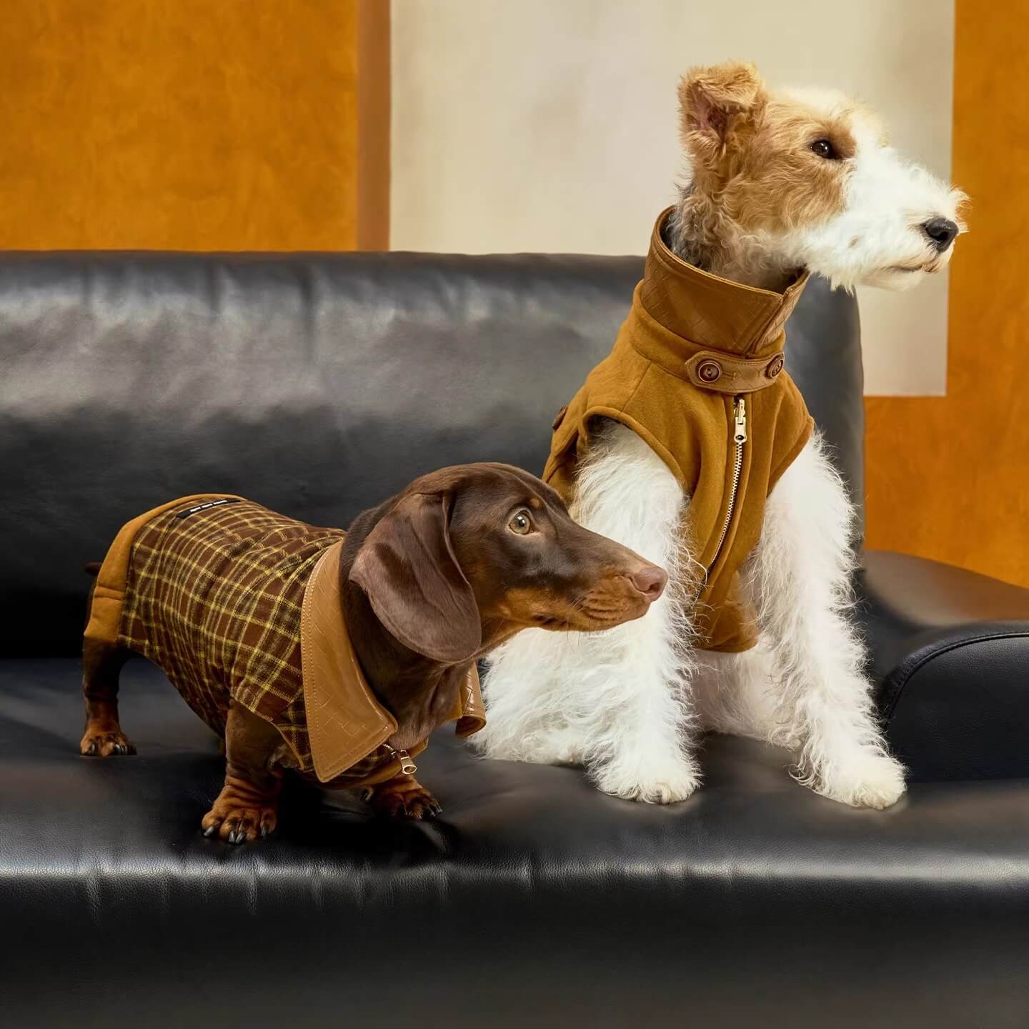 Dachshund Coats | Luxury Reversible Suede Vest | ArtisanUni
