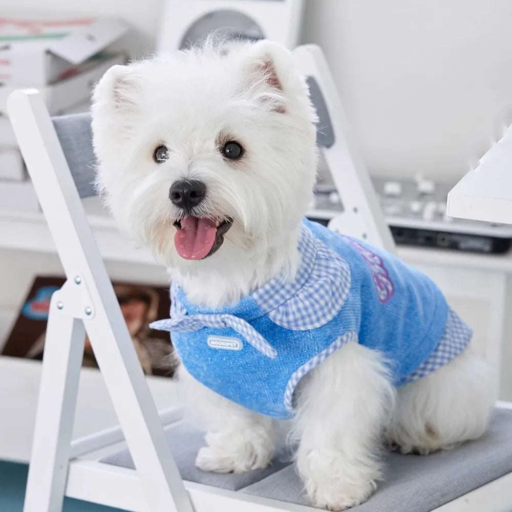 ArtisanUni Blue bow tie sweater