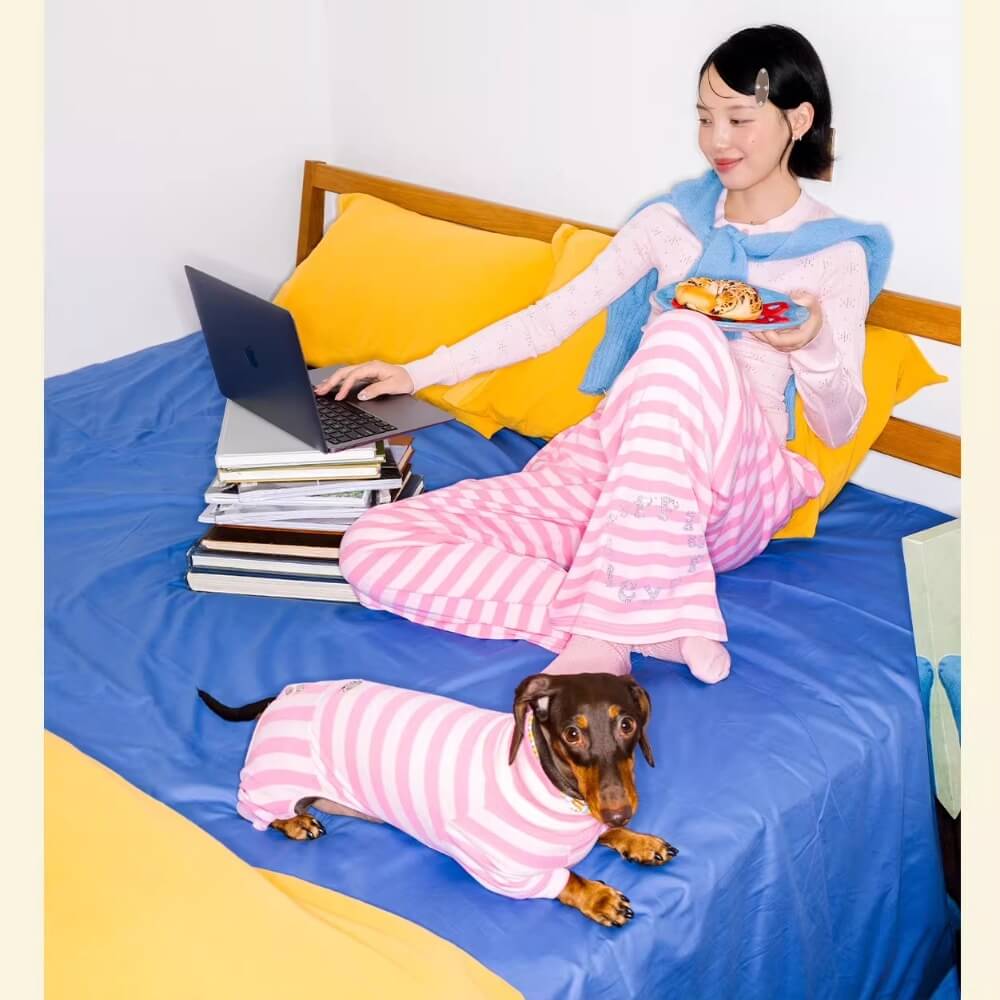 Dachshund Pajamas | Four-Legged Stripe Sleepwear for Wiener Dogs | ArtisanUni