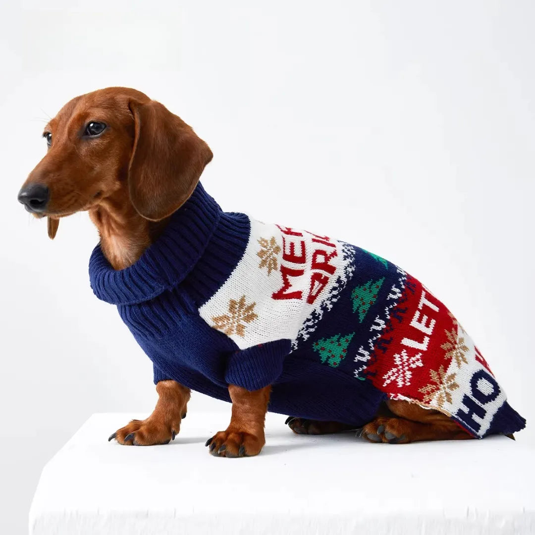dachshund wearing a christmas sweater designed for long body dogs