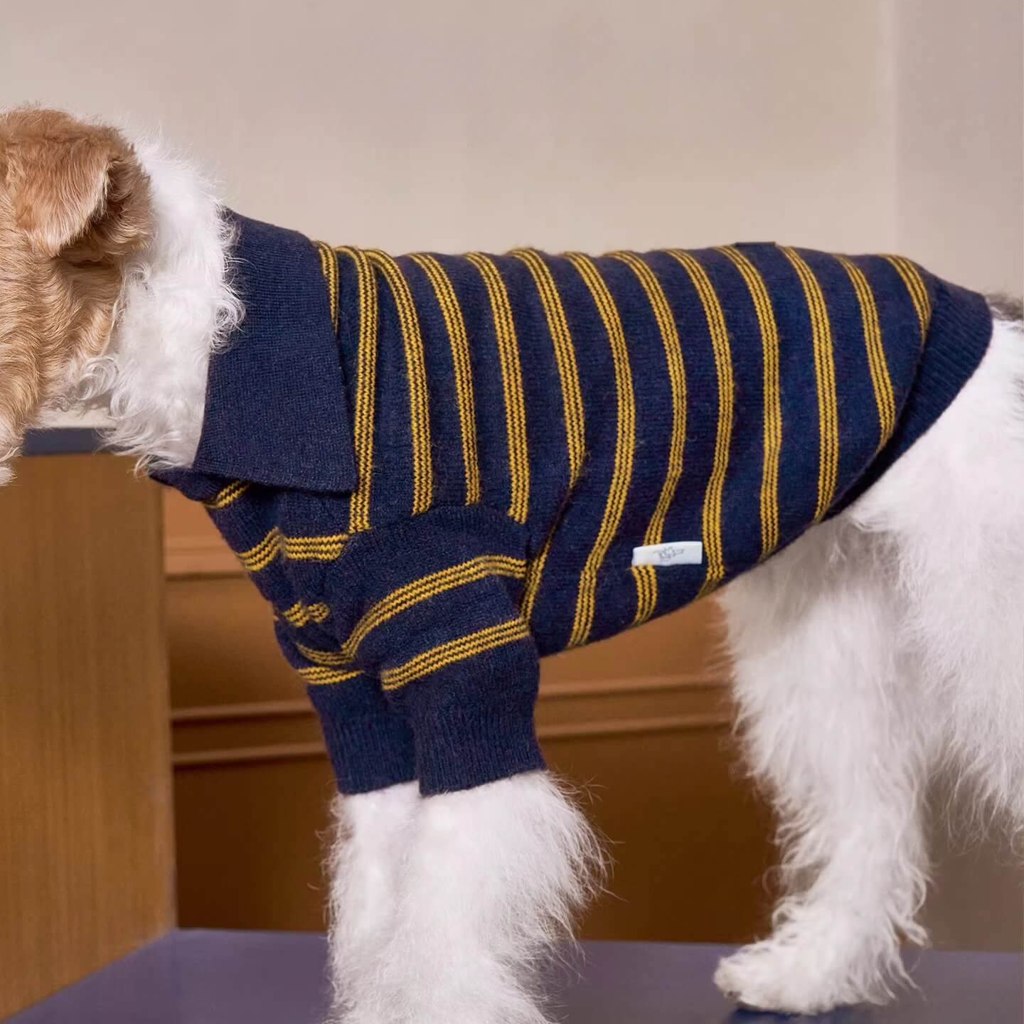 Sweater Dachshund Long Body  |  Blue & Yellow Striped  Polo Knit | Dachshund Clothing | ArtisanUni