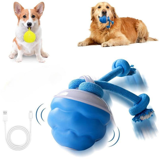 interactive small dog toys motion activated squeaky rolling ball
