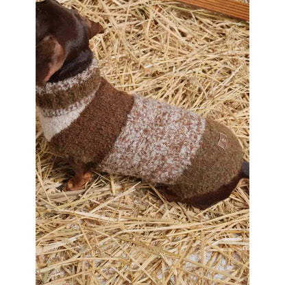 Warm Sweaters for Dachshunds – Cozy  Winter Sweaters for Long Body Dogs | ArtisanUni