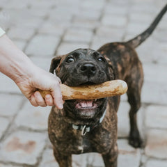 Coffee Wood Dental Chews For Dogs