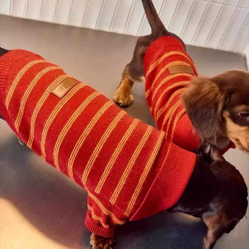 Sweater Dachshund Long Body  |  red & Yellow Striped  Polo Knit | Dachshund Clothing | ArtisanUni