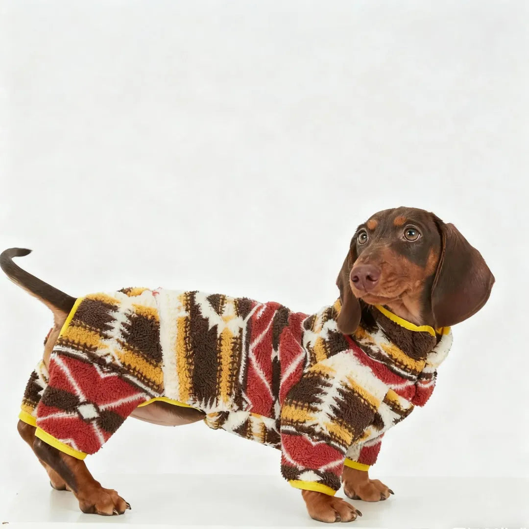 New Spring Four-Legged sweaters for dachshunds |ArtisanUni