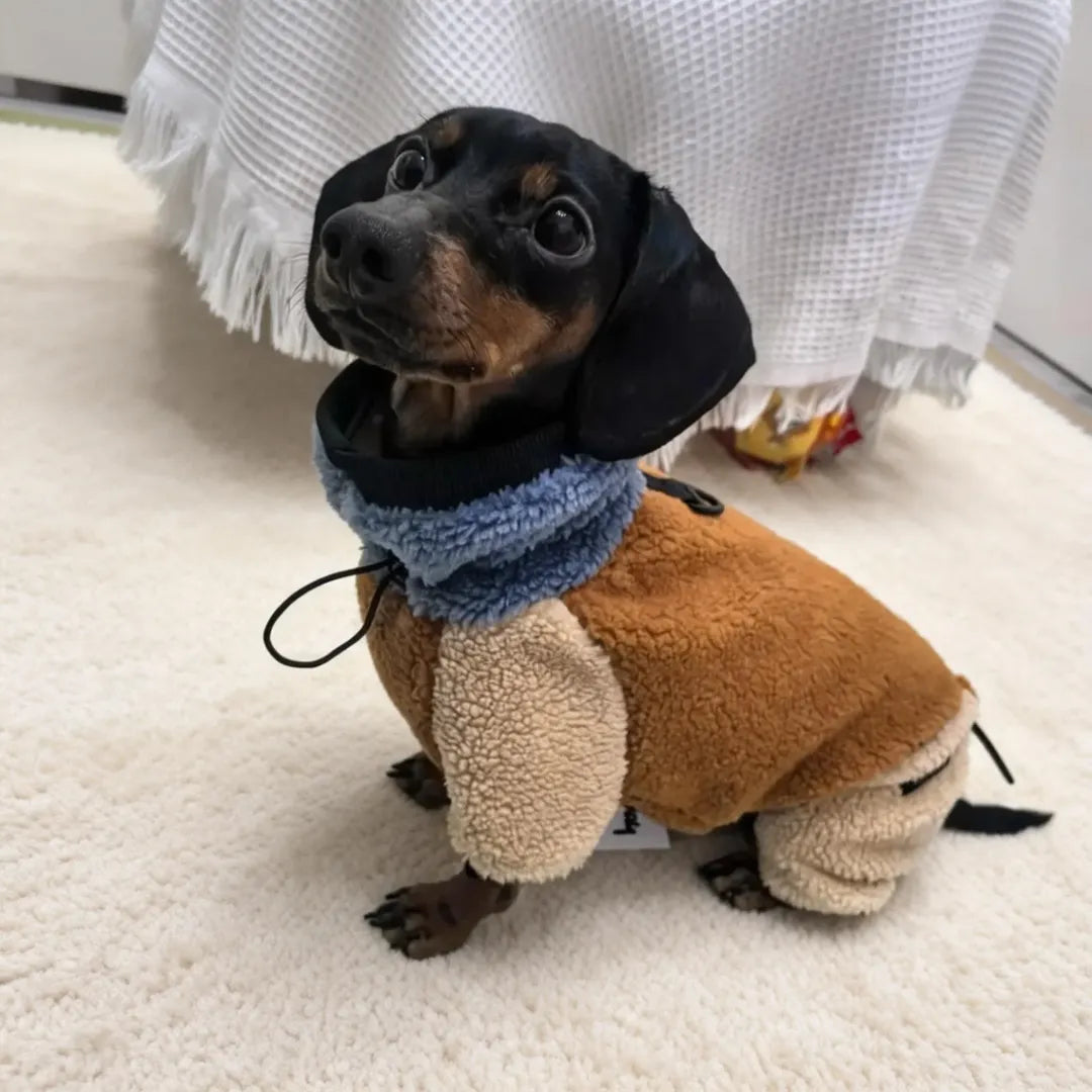 Lambswool Dachshund Autumn and Winter Warm Four-Legged Sweater | ArtisanUni