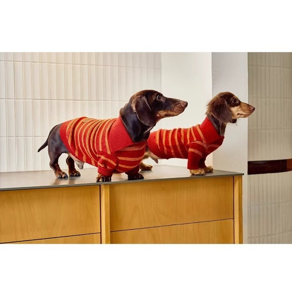 Sweater Dachshund Long Body  |  red & Yellow Striped  Polo Knit | Dachshund Clothing | ArtisanUni