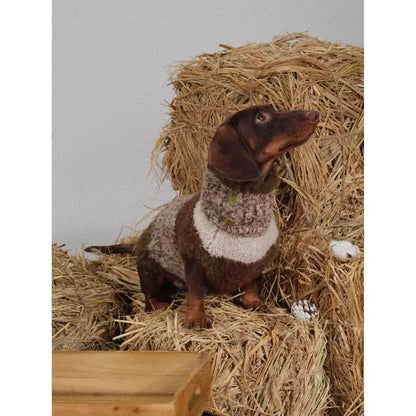 close-up of warm dachshund sweater showing soft insulated fabric
