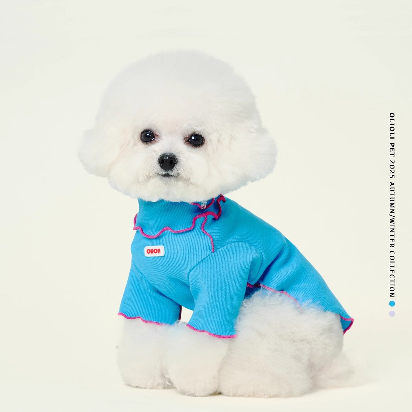 ArtisanUni Turtleneck T-shirt