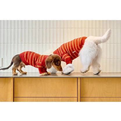 Sweater Dachshund Long Body  |  red & Yellow Striped  Polo Knit | Dachshund Clothing | ArtisanUni